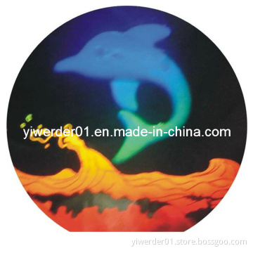 Anti-Fake Promotioanal 3D Hologram Sticker (H-076)